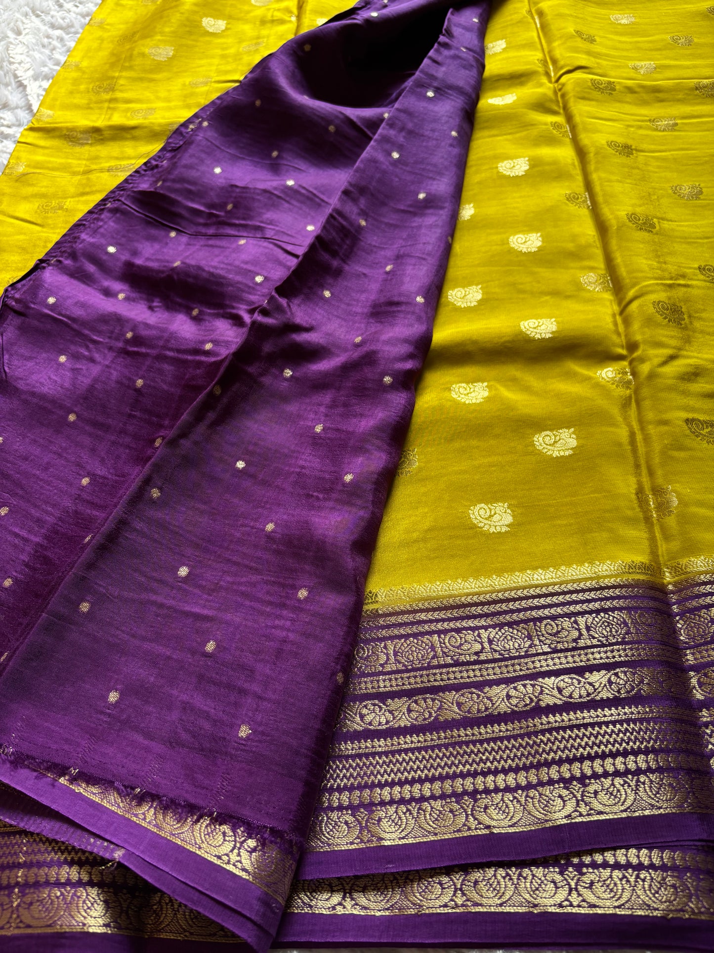 SS126 (2D) : Olive-purple