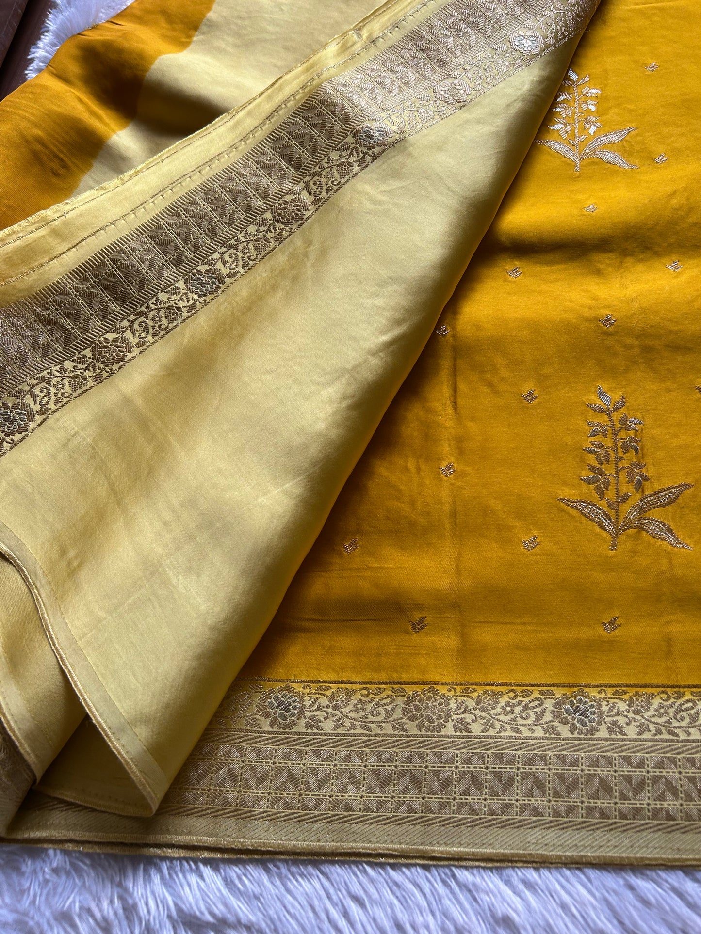 SS104 (2D) : Golden yellow-cream