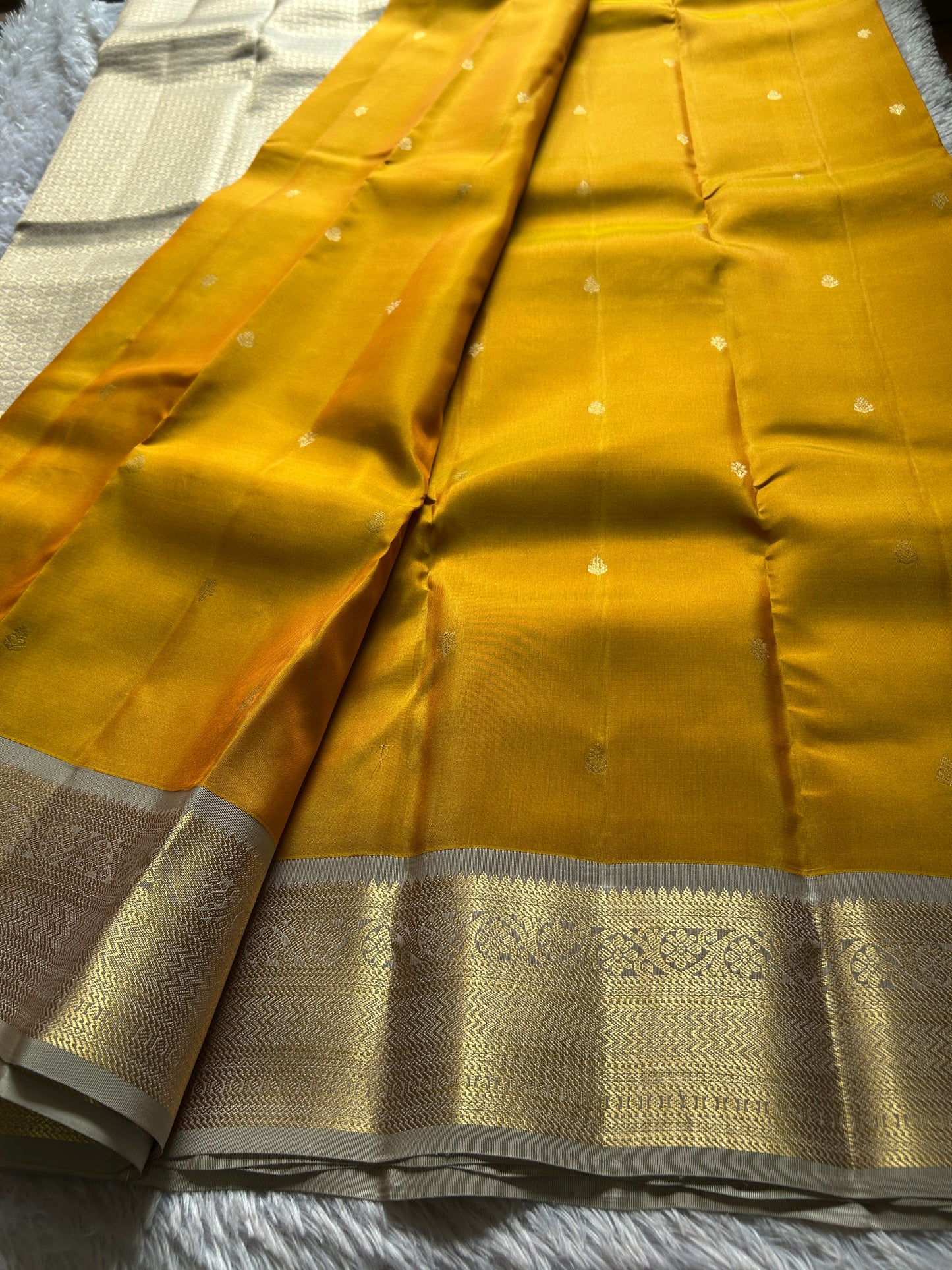 Harusha (2D) : Golden yellow-silver grey
