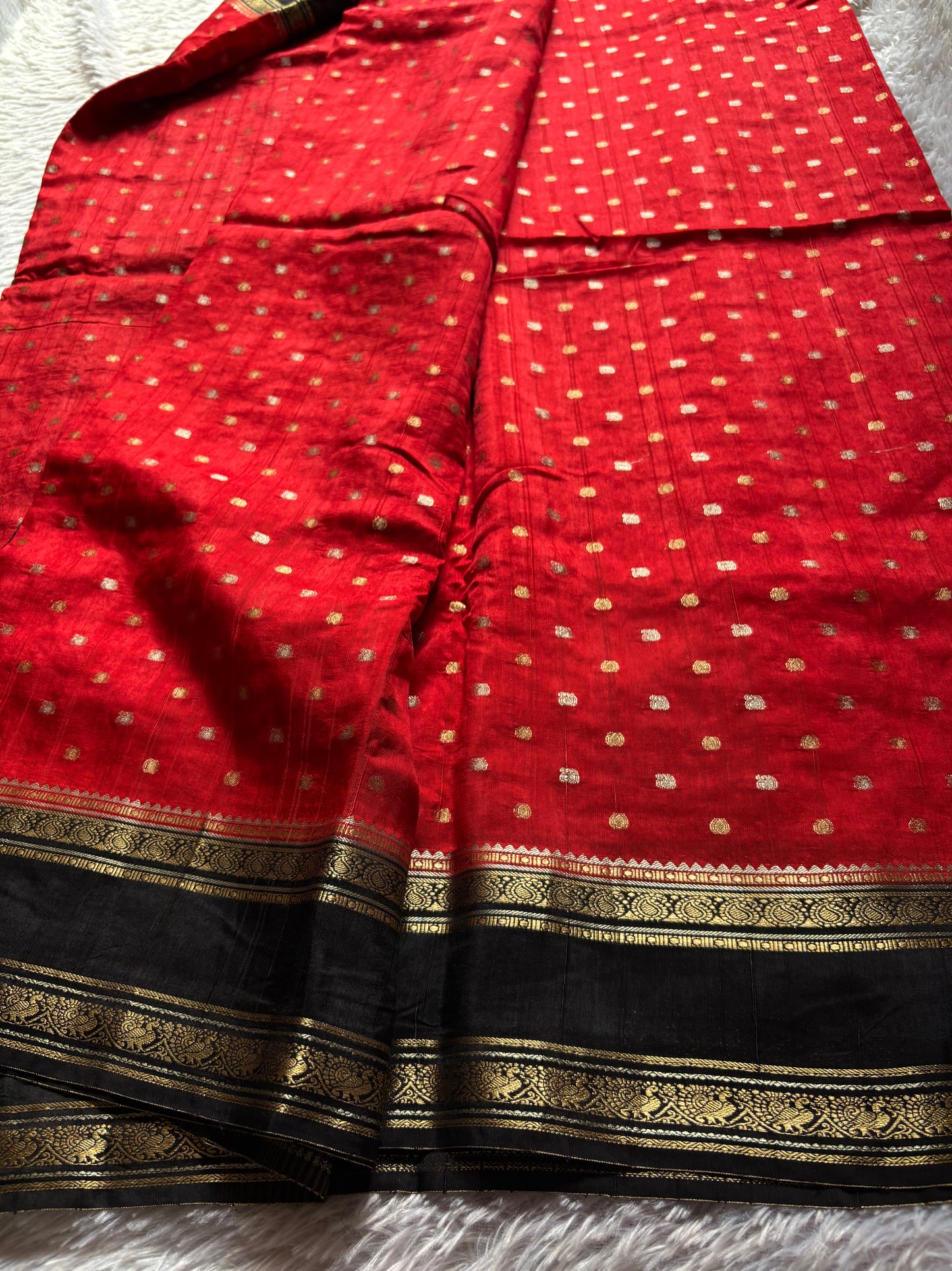 SS101 (2D) : Red-black