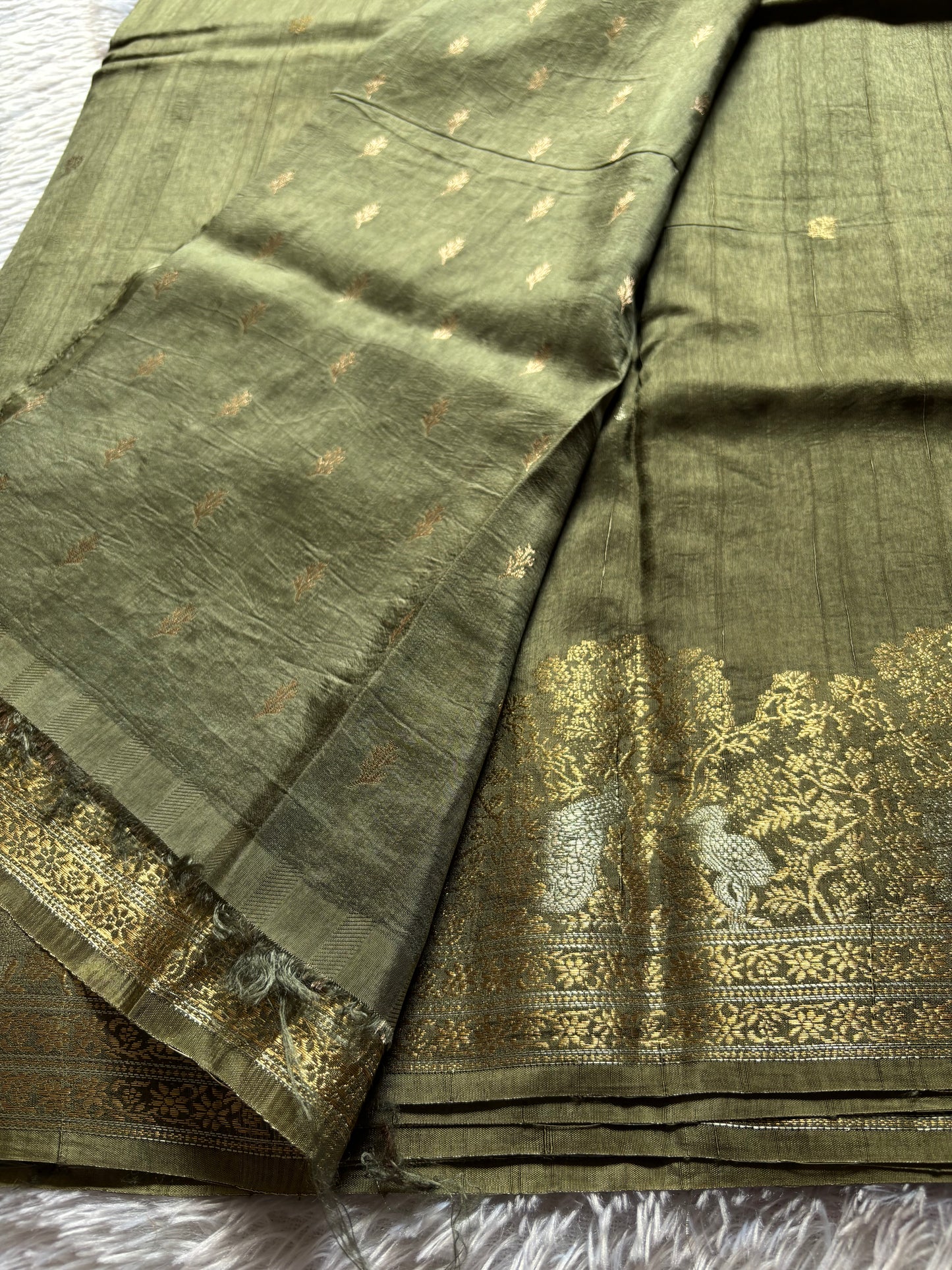 SS127 : Solid Sage green
