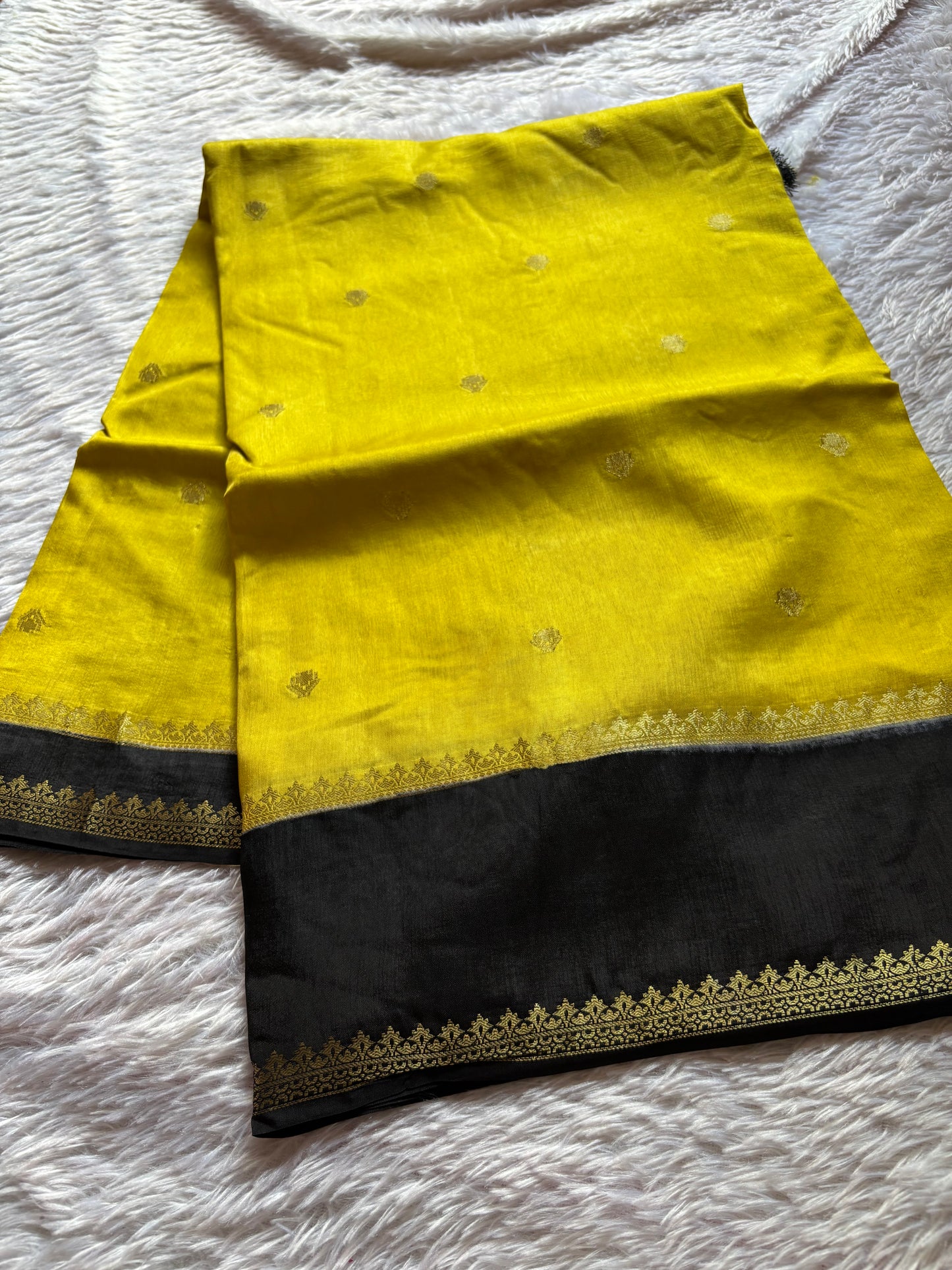 SS104 (2D) : Olive-black