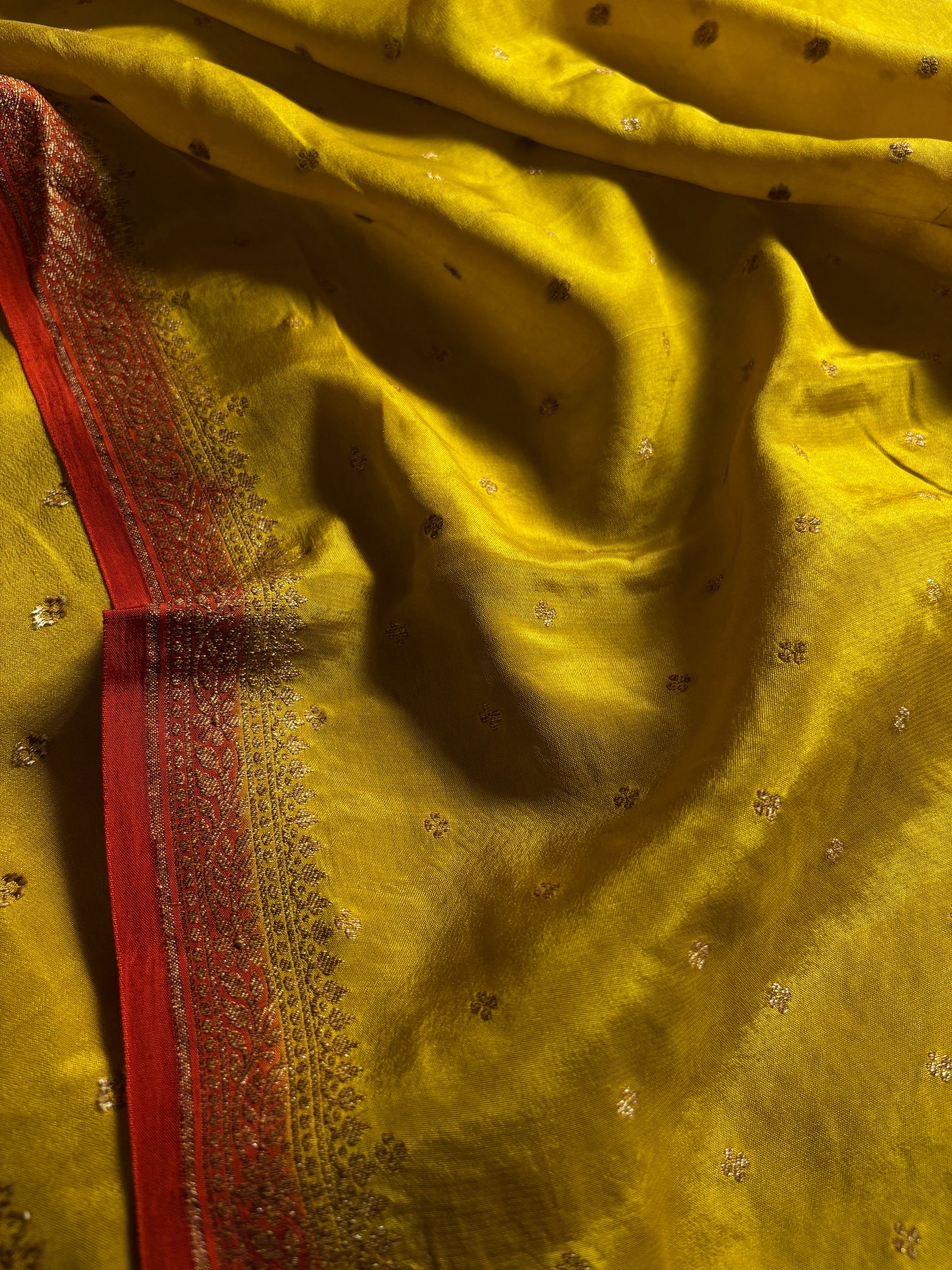 Deepali (2D) : Olive-rust orange