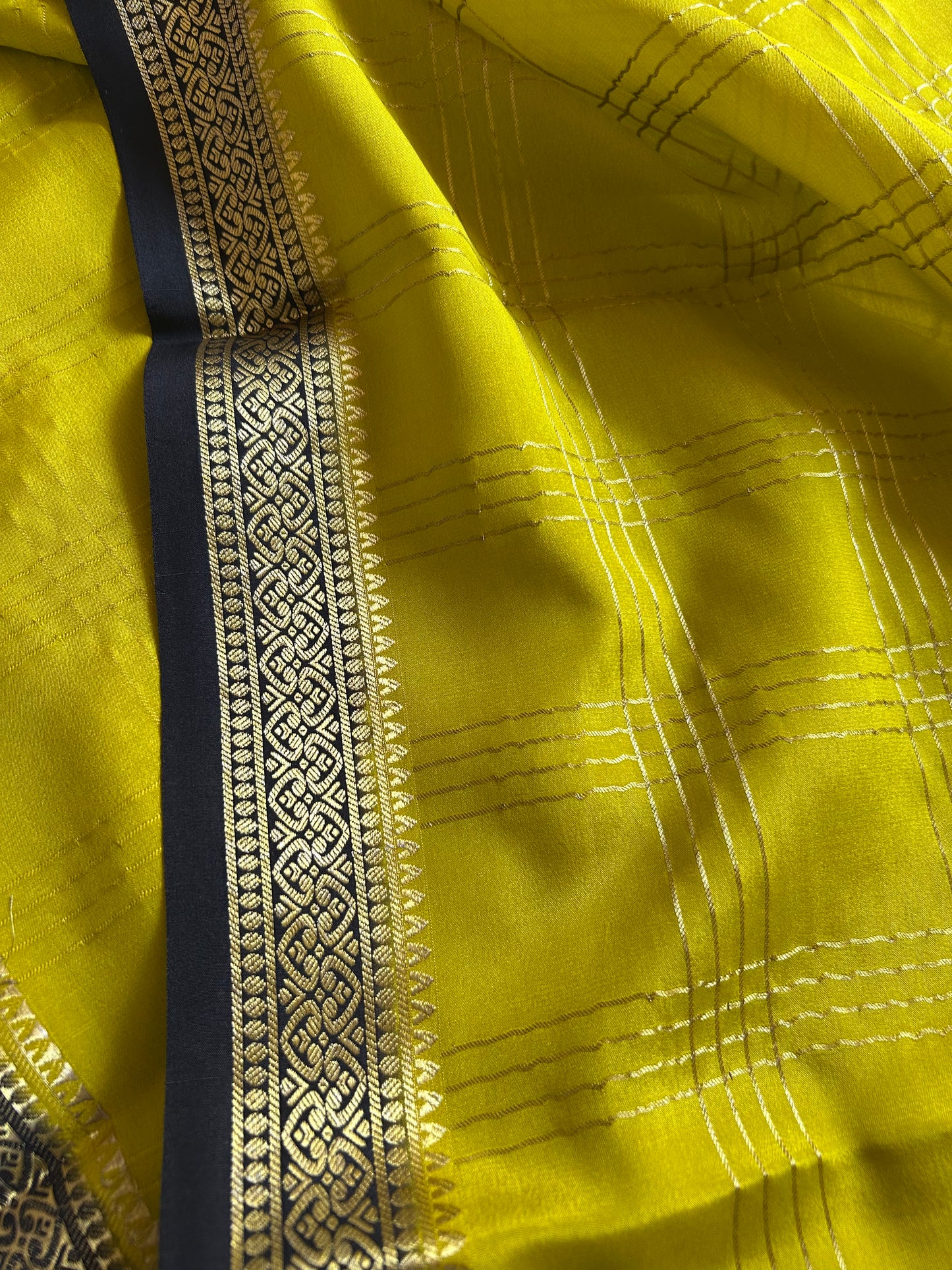 Apeksha (2D) : Olive-black