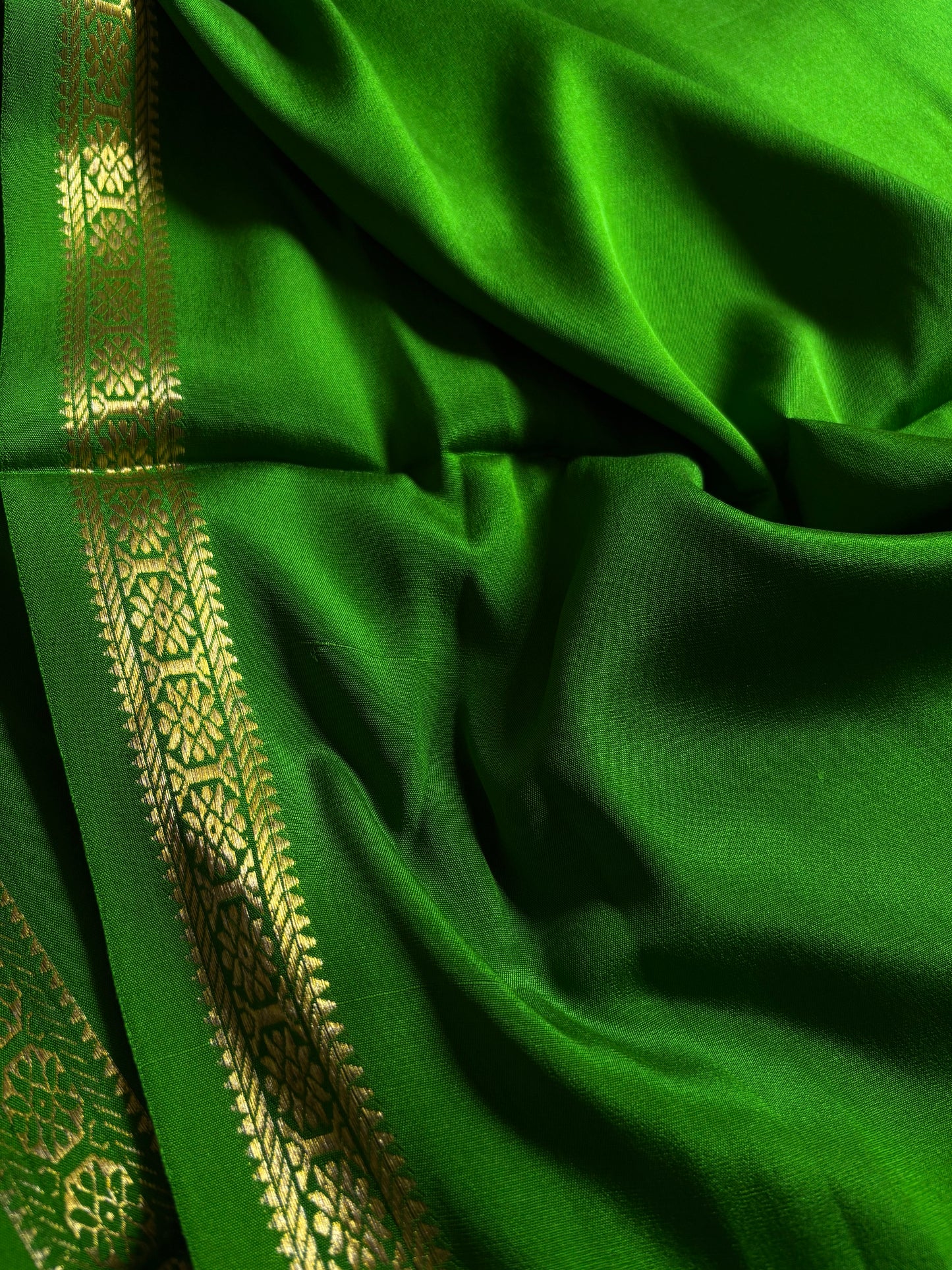 Rudrakshi : Solid Leaf green
