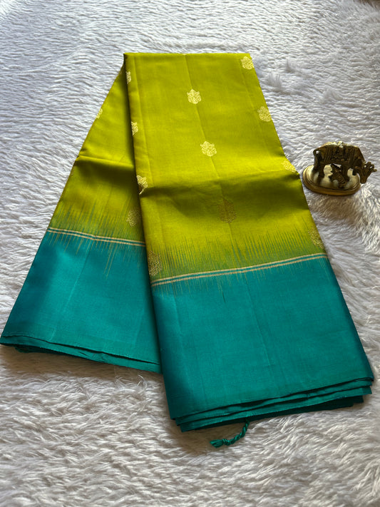 Vasudha (2D) : Olive-ananda blue