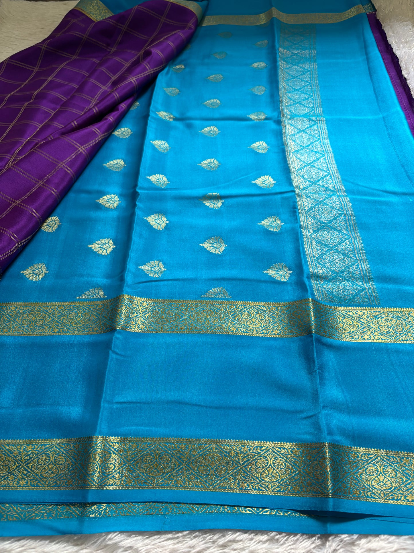 Vasudha (2D) : Purple-ananda blue