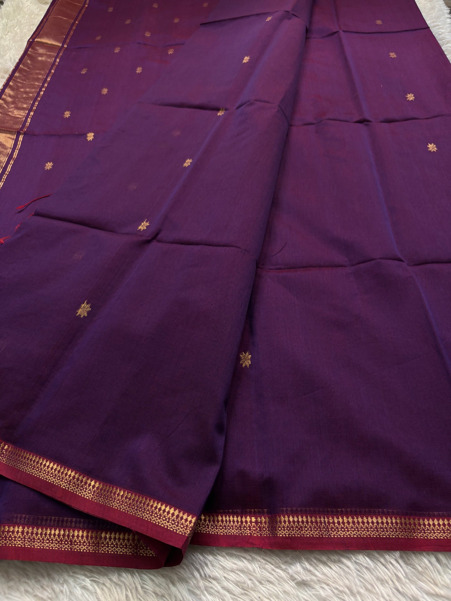 MCS103 (2D) : Purple-maroon