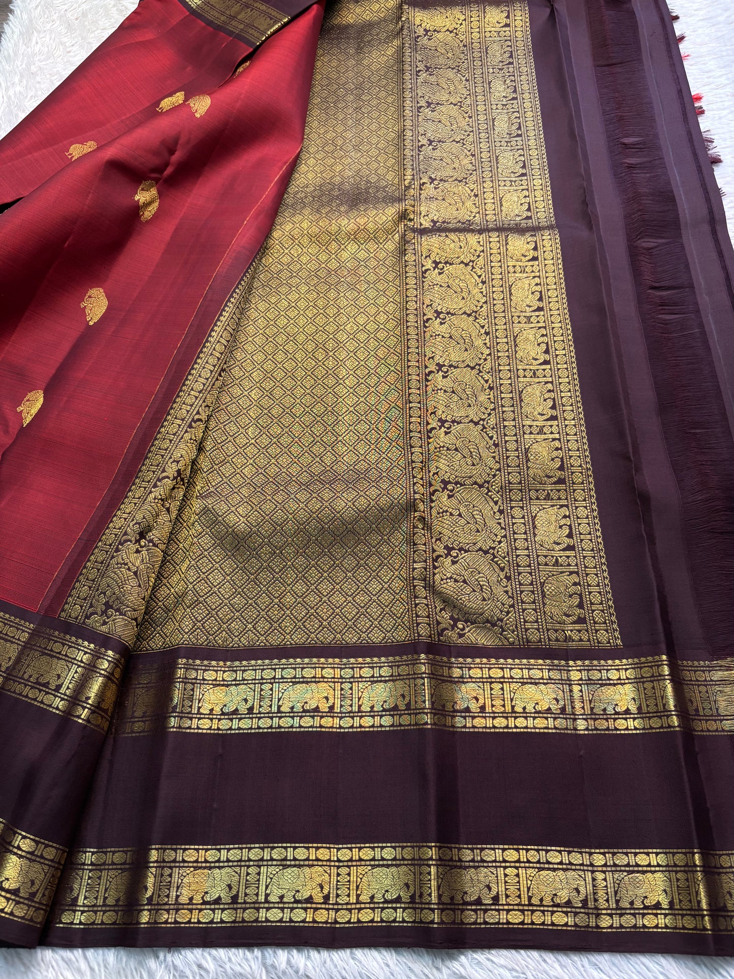 Kankana (2D) : maroon-chocolate brown