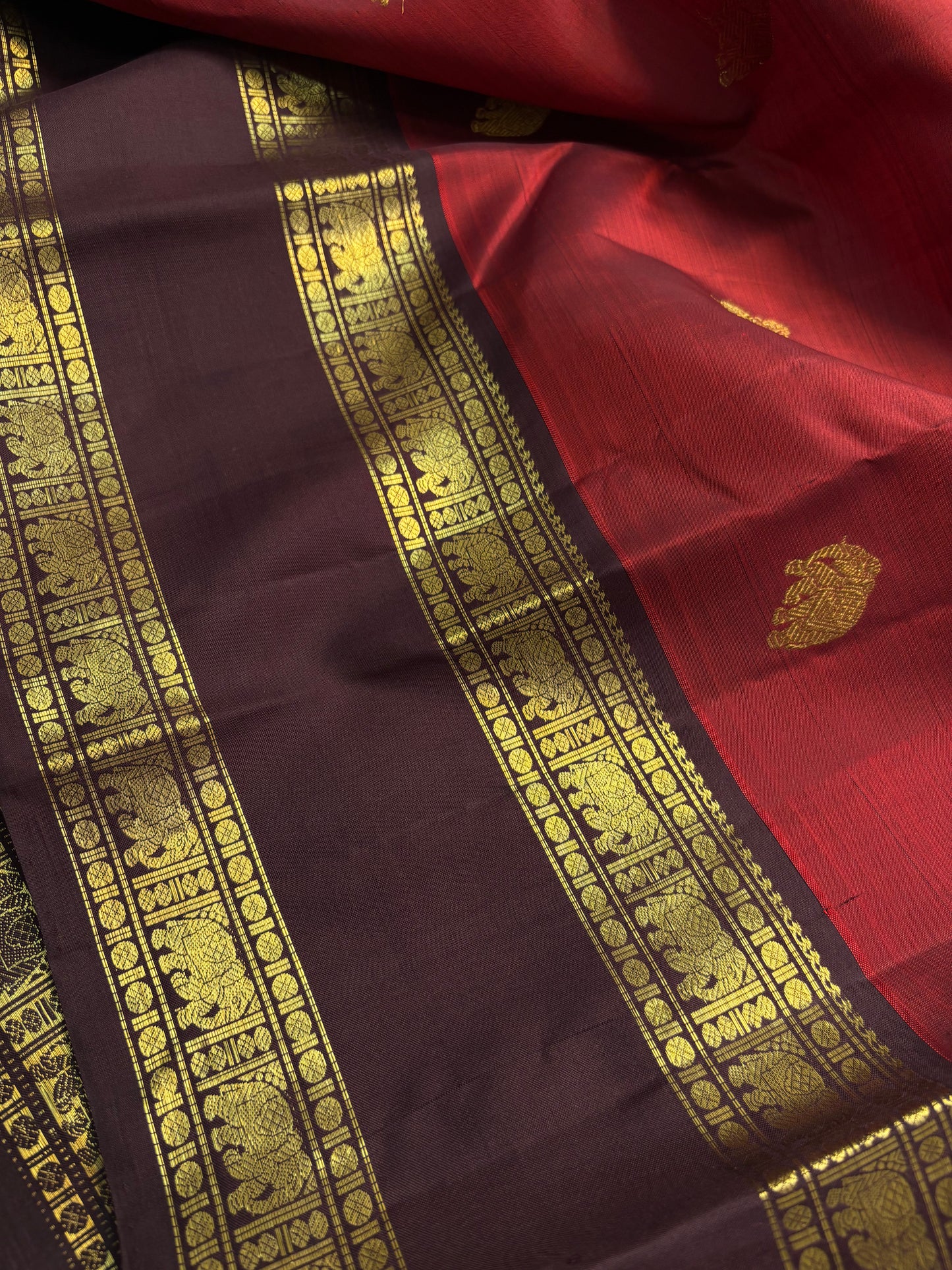 Kankana (2D) : maroon-chocolate brown